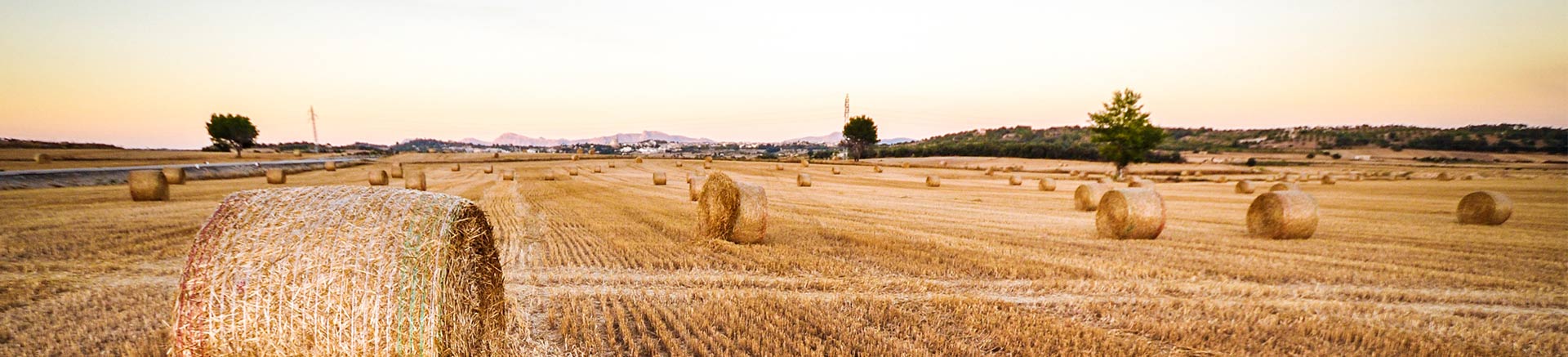 Agri-Affaire-banner